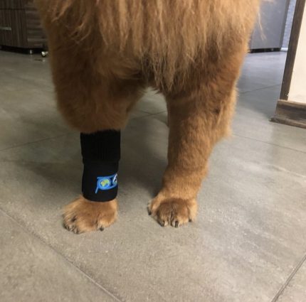 بریس و اتل ساده