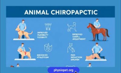 کایروپراکتیک حیوانات